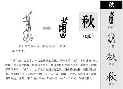 秋字五行|秋字五行属什么